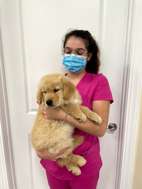 Home Happy Tails Animal Hospital